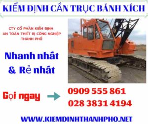 Hình ảnh kiểm định cần trục bánh xích