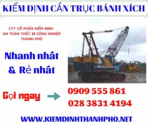 Hình ảnh kiểm định cần trục bánh xích