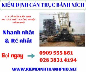 Hình ảnh kiểm định cần trục bánh xích