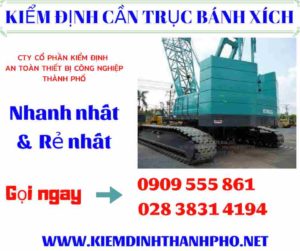 Hình ảnh kiểm định cần trục bánh xích