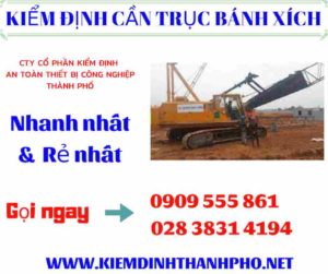 Hình ảnh kiểm định cần trục bánh xích