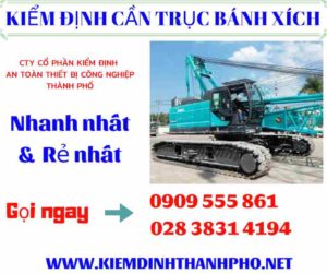 Hình ảnh kiểm định cần trục bánh xích