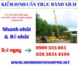 Hình ảnh kiểm định cần trục bánh xích