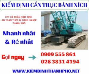 Hình ảnh kiểm định cần trục bánh xích