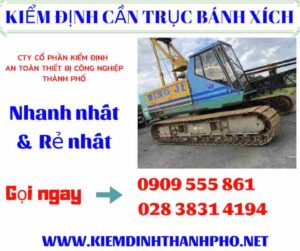 Hình ảnh kiểm định cần trục bánh xích