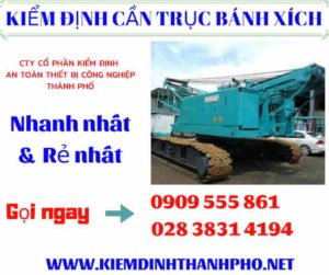 Hình ảnh kiểm định cần trục bánh xích