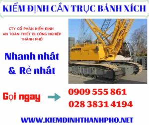 Hình ảnh kiểm định cần trục bánh xích