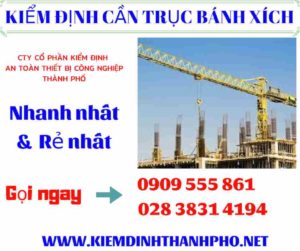 Hình ảnh kiểm định cần trục bánh xích