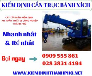 Hình ảnh kiểm định cần trục bánh xích