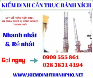 Hình ảnh kiểm định cần trục bánh xích