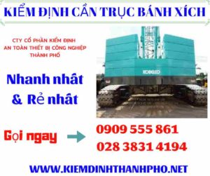 Hình ảnh kiểm định cần trục bánh xích