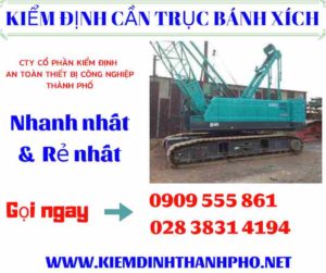 Hình ảnh kiểm định cần trục bánh xích