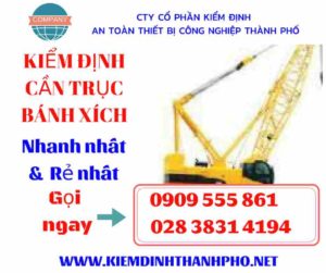 Hình ảnh kiểm định cần trục bánh xích