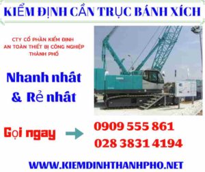 Hình ảnh kiểm định cần trục bánh xích