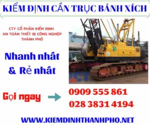 Hình ảnh kiểm định cần trục bánh xích