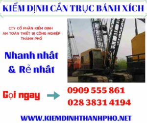 Hình ảnh kiểm định cần trục bánh xích