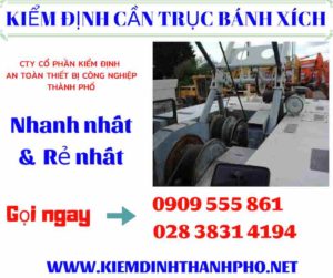 Hình ảnh kiểm định cần trục bánh xích