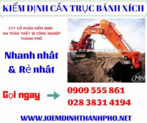 Hình ảnh kiểm định cần trục bánh xích