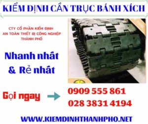 Hình ảnh kiểm định cần trục bánh xích