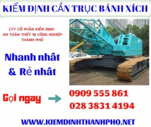 Hình ảnh kiểm định cần trục bánh xích