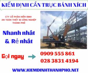 Hình ảnh kiểm định cần trục bánh xích