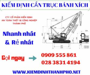 Hình ảnh kiểm định cần trục bánh xích