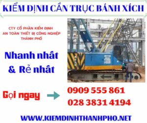 Hình ảnh kiểm định cần trục bánh xích