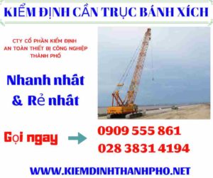 Hình ảnh kiểm định cần trục bánh xích