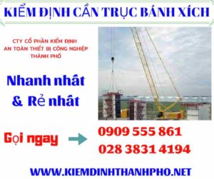 Hình ảnh kiểm định cần trục bánh xích