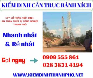 Hình ảnh kiểm định cần trục bánh xích