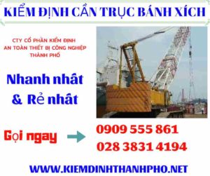 Hình ảnh kiểm định cần trục bánh xích