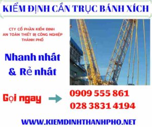 Hình ảnh kiểm định cần trục bánh xích