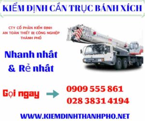 Hình ảnh kiểm định cần trục bánh xích