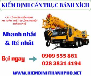 Hình ảnh Kiểm định cần trục bánh xích