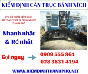 Hình ảnh kiểm định cần trục bánh xích