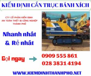 Hình ảnh kiểm định cần trục bánh xích