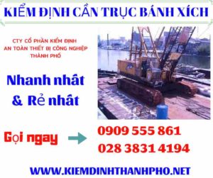 Hình ảnh kiểm định cần trục bánh xích