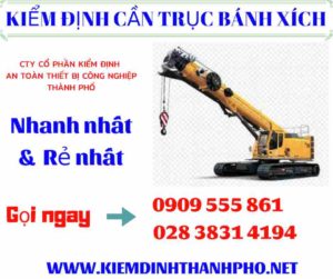 Hình ảnh kiểm định cần trục bánh xích