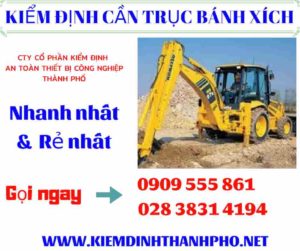 Hình ảnh kiểm định cần trục bánh xích