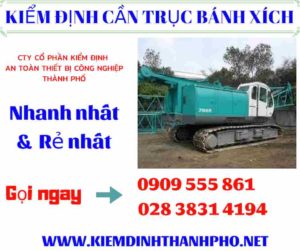 Hình ảnh kiểm định cần trục bánh xích