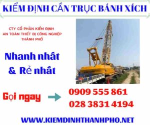 Hình ảnh kiểm định cần trục bánh xích