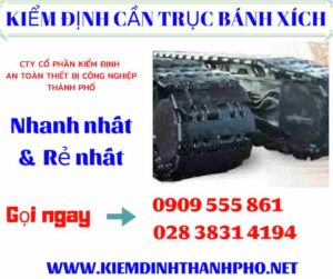 Hình ảnh kiểm định cần trục bánh xích