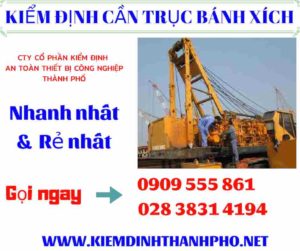 Hình ảnh kiểm định cần trục bánh xích