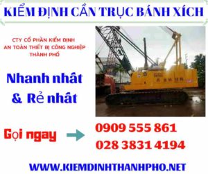 Hình ảnh kiểm định cần trục bánh xích