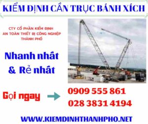 Hình ảnh kiểm định cần trục bánh xích