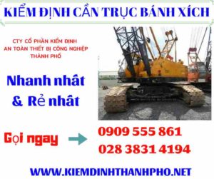 Hình ảnh kiểm định cần trục bánh xích