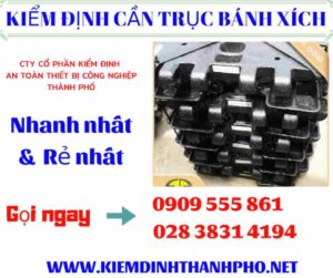 Hình ảnh kiểm định cần trục bánh xích