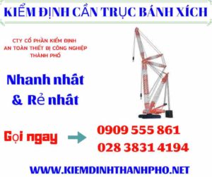 Hình ảnh kiểm định cần trục bánh xích