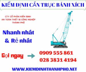 Hình ảnh kiểm định cần trục bánh xích