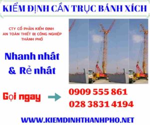 Hình ảnh kiểm định cần trục bánh xích